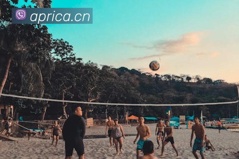 开云手机网页登录网页平台生态图