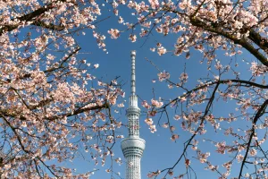 婴儿推车遮阳篷怎么选：覆盖范围、通风与观察窗口